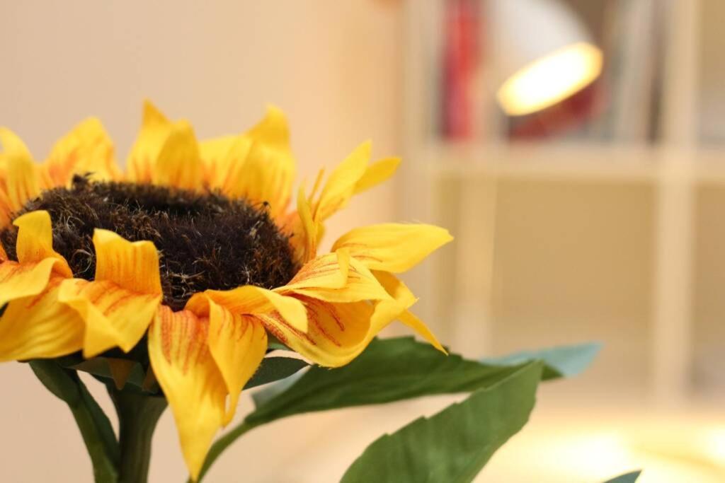 Fast Friend - Cozy Apartment In The Center With Private Garage Fiume Esterno foto