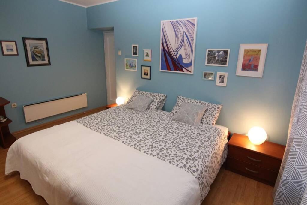 Fast Friend - Cozy Apartment In The Center With Private Garage Fiume Esterno foto